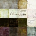 Branchessa Paper Pack