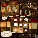 Tiger Rising Package Saving