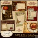 5x7 Tiger Rising QuickCards