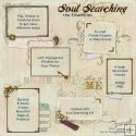 Ensembles : Soul Searching