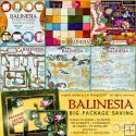 Balinesia Package Saving
