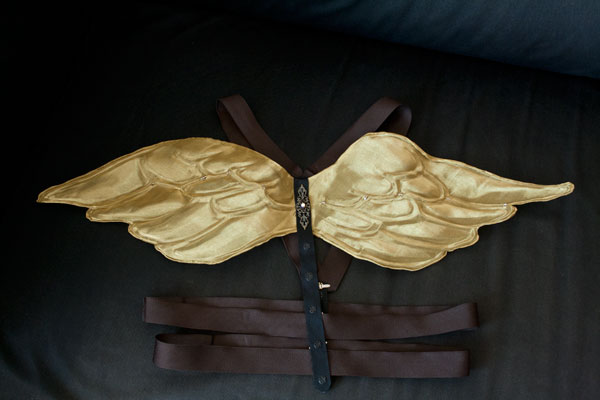 Wings by Fhung