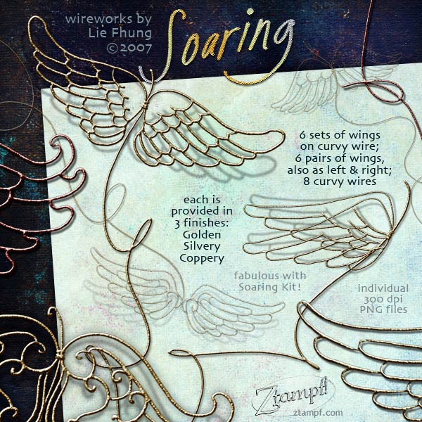 Soaring WireWorks