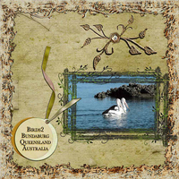 Birds2