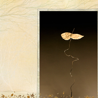 Soaring V.1 - Single View 2