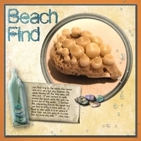 Beach Find