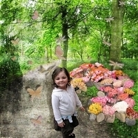 In A Forest